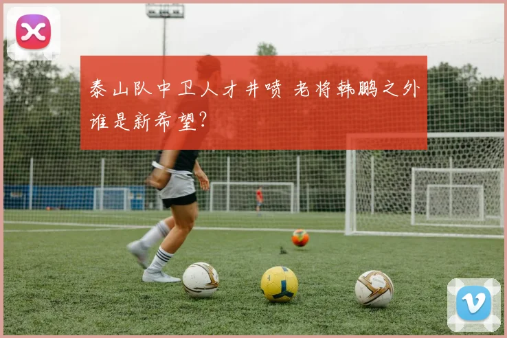 泰山队中卫人才井喷 老将韩鹏之外谁是新希望？